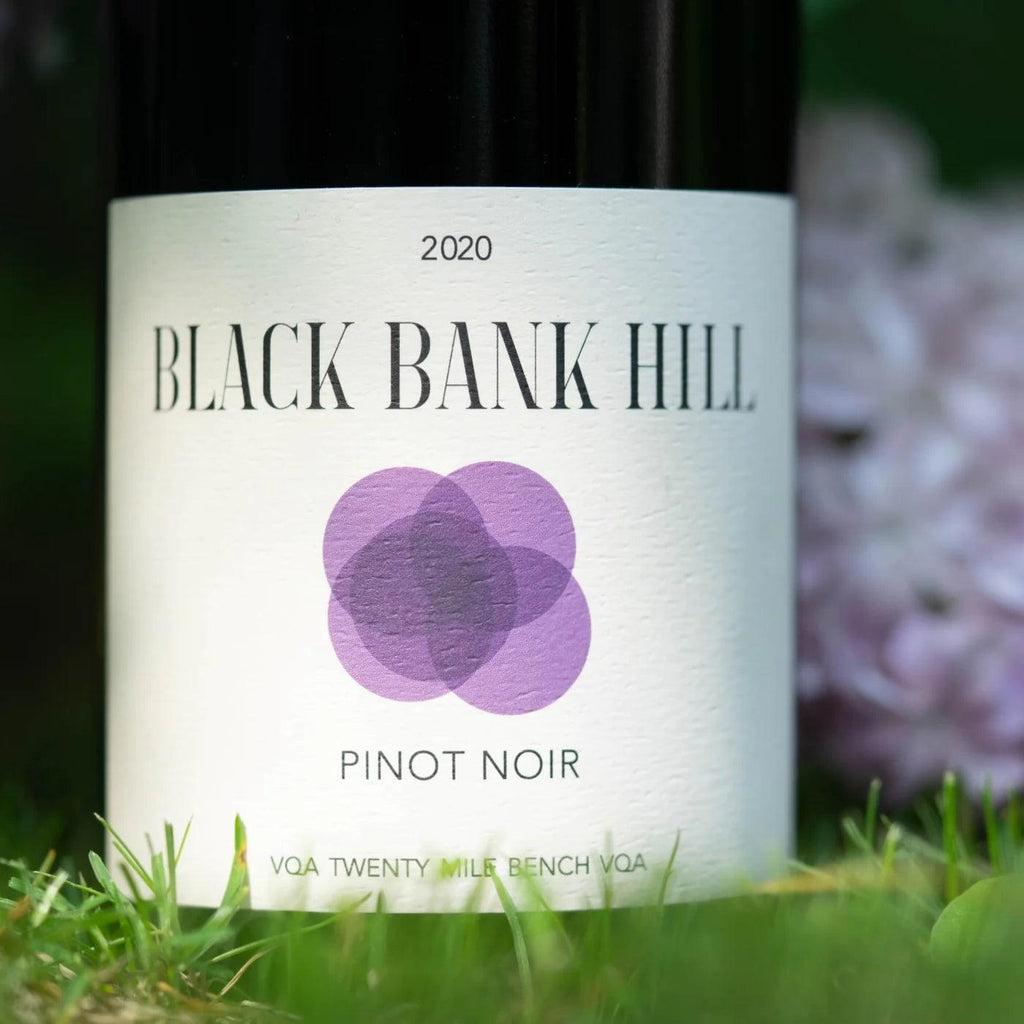 Black Bank Hill Pinot Noir 2020 - Archives Wine & Spirit Merchants - bottle shop - liquor store - niagara - lcbo - free delivery - wine store - wine shop - st. catharines