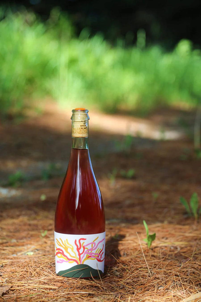 ibi 'Apollo' Zweigelt Rosé 2021 - Archives Wine & Spirit Merchants - bottle shop - liquor store - niagara - lcbo - free delivery - wine store - wine shop - st. catharines