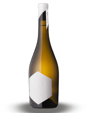 Big Head Raw Sauvignon Blanc 2020 - Archives Wine & Spirit Merchants - bottle shop - liquor store - niagara - lcbo - free delivery - wine store - wine shop - st. catharines